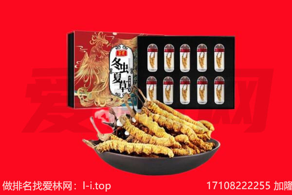海西州都兰回收虫草.jpg